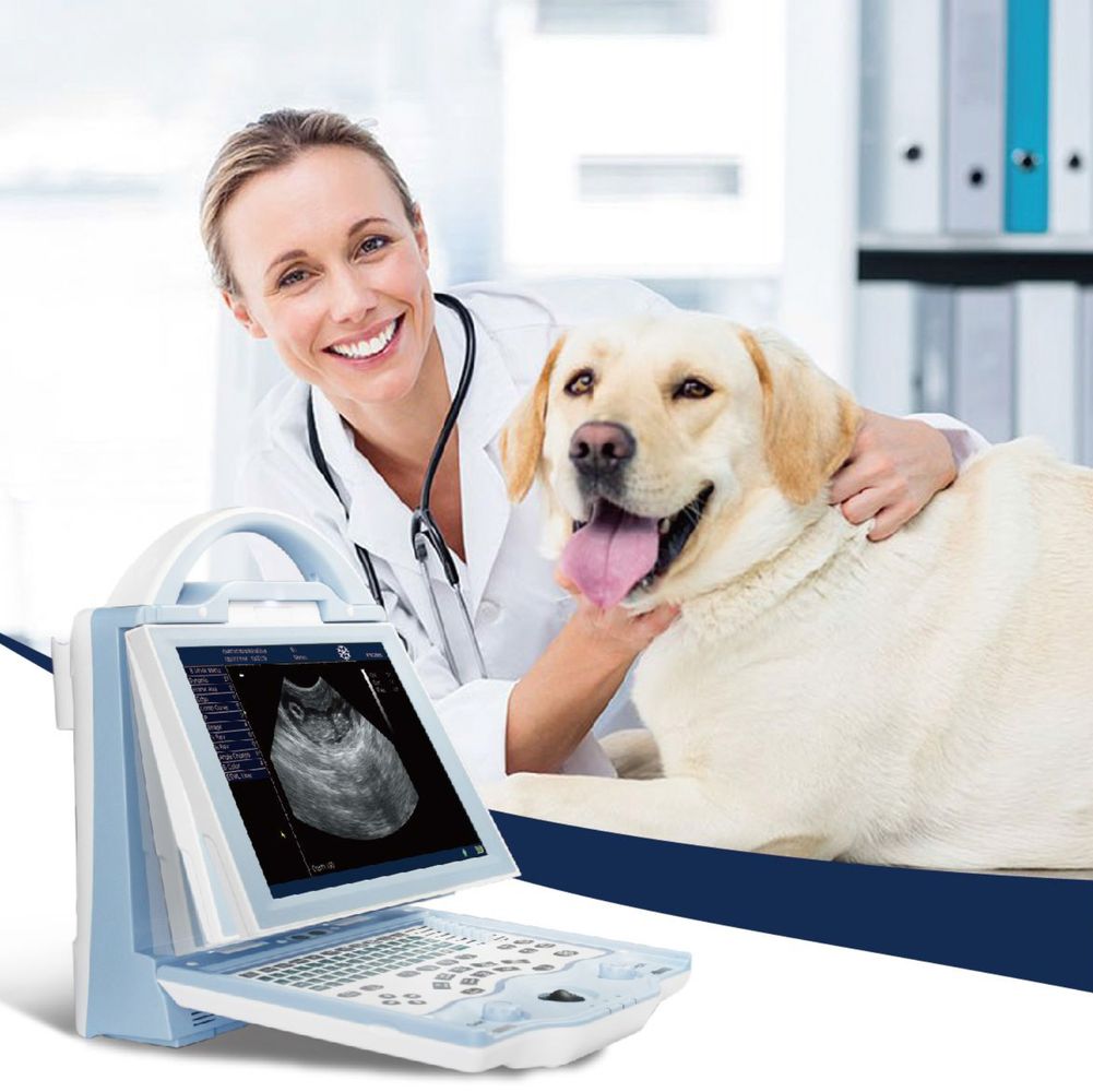 Медицинское оборудование в ветеринарии